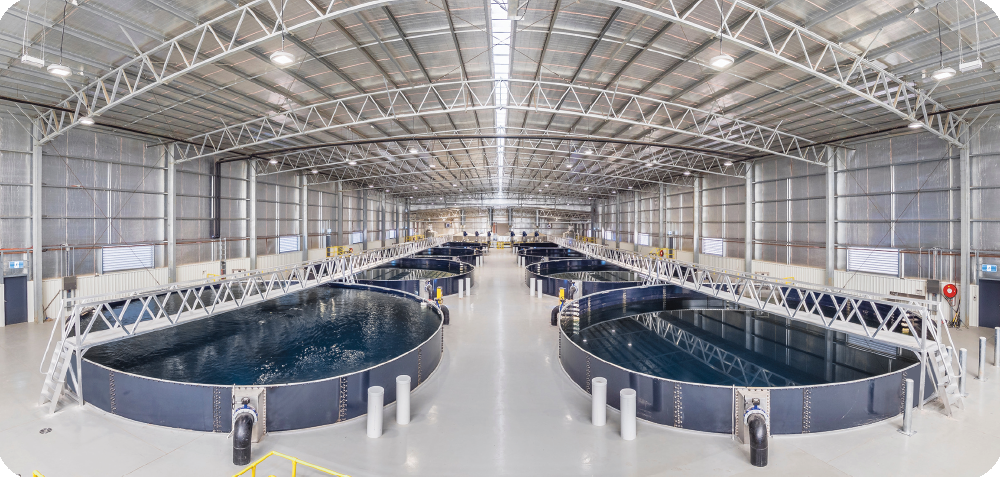 Indoor Controlled Environment Aquaculture